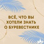 bur2026150x150